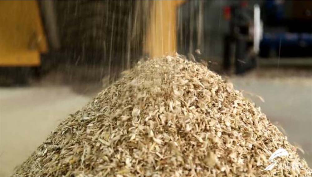 “廢料”變“肥料”！看園林廢棄物如何實(shí)現(xiàn)“落葉歸根”